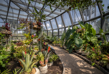 Jardín Botánico