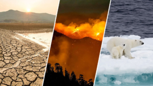 crisis climática