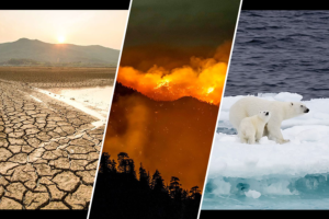 crisis climática