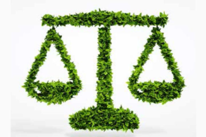 JUSTICIA AMBIENTAL