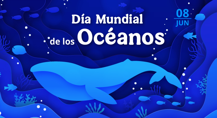 Día Mundial de los Océanos 2026: Un llamado urgente para proteger “El pulmón Azul” del planeta 11 image 849