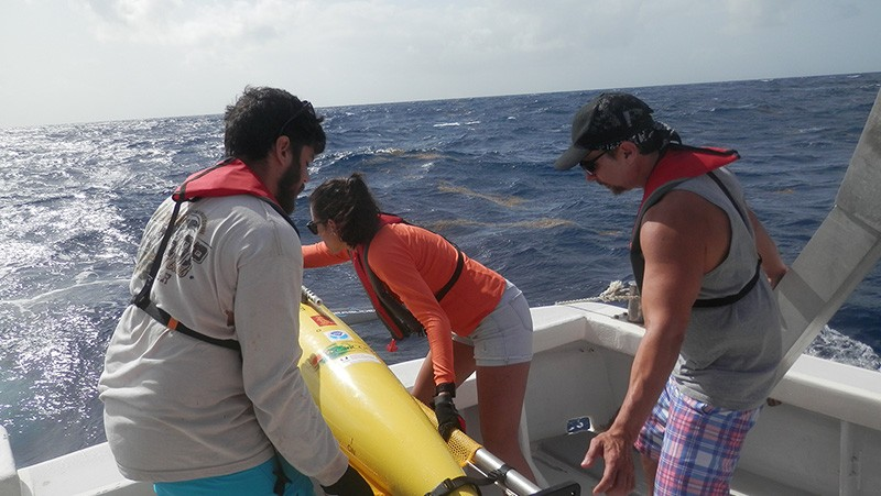Vigilancia digital y preservación hídrica: Los ocho métodos esenciales de monitoreo para salvaguardar la resiliencia de los ecosistemas marinos 11 image 872