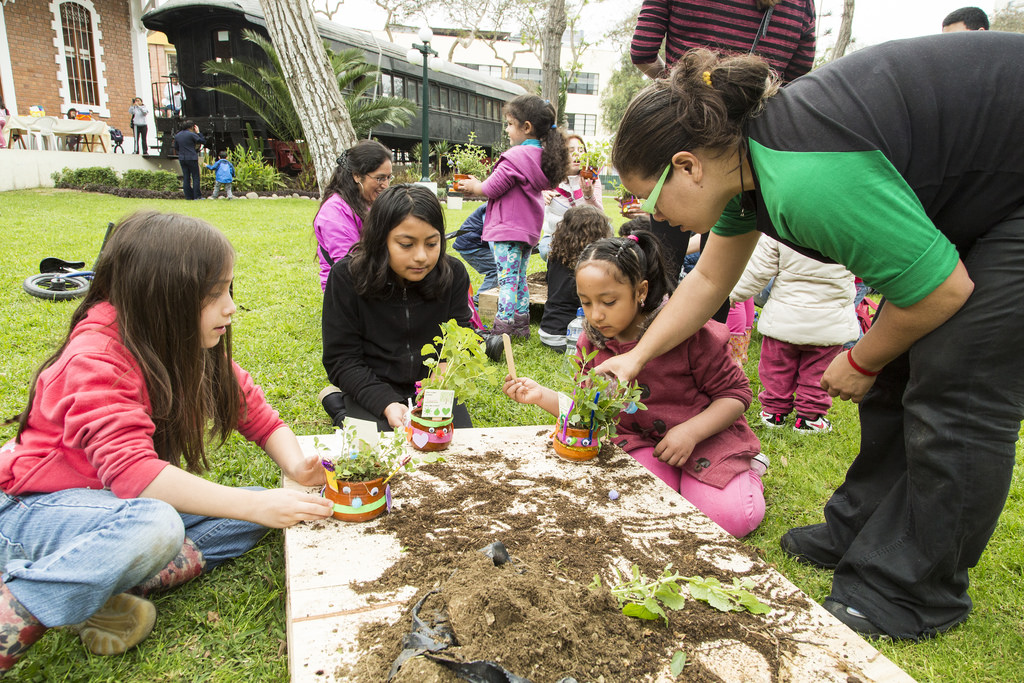 Educación ambiental, en escuelas urbanas, una herramienta para formar ciudadanos más conscientes 12 image 878