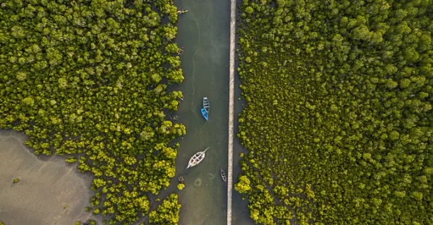 Lucha climática: la UNESCO amplía la protección de sus reservas 12 image 926