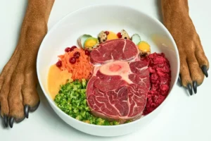 dieta de los perros
