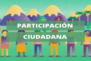 Ola ciudadana