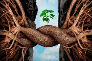 Resiliencia ecológica ¿Cómo se mide?