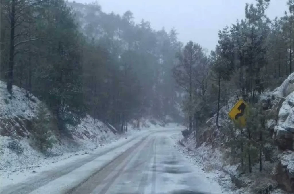 imagen 1 2025 11 24T105341.437