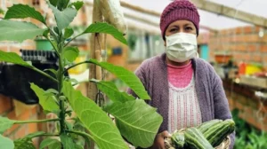 atinoamérica necesita triplicar la productividad agrícola