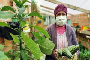 atinoamérica necesita triplicar la productividad agrícola