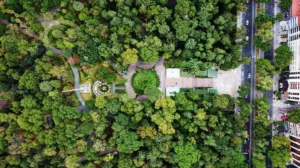 ¿Qué tan verde es tu colonia?