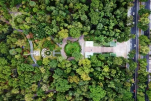 ¿Qué tan verde es tu colonia?