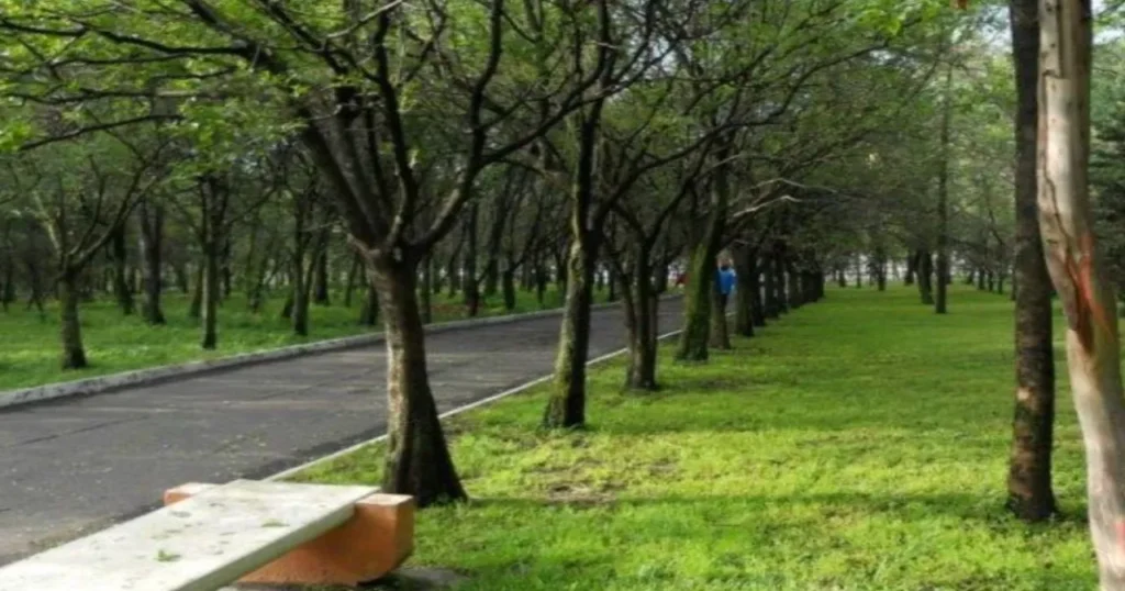 imagen 1 2025 11 25T102027.310