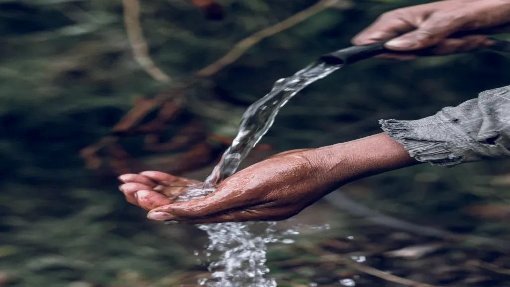 imagen 1 2025 11 27T104440.272