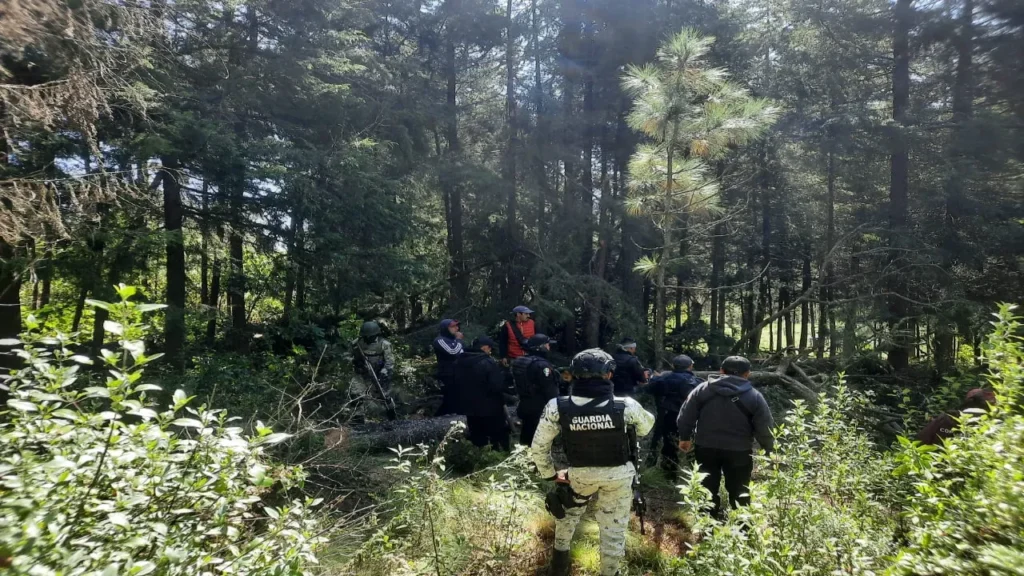 imagen 1 2025 12 05T100436.133