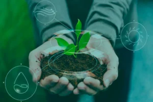El futuro ambiental