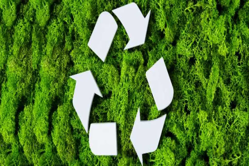 imagen 1 2025 12 15T101444.227