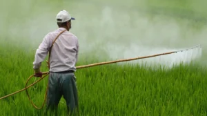 prohibición del glifosato en México