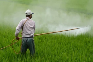 prohibición del glifosato en México