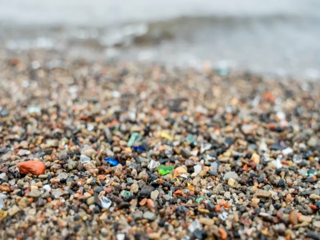 imagen 1 2025 12 17T105514.659