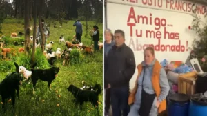 Refugio Franciscano: