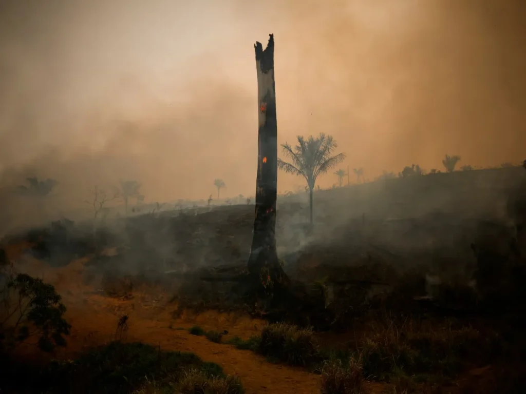Récord histórico de CO₂: el planeta alcanza niveles sin precedentes por el uso de combustibles fósiles 11 imagen 1 37