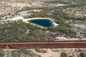 Cámaras