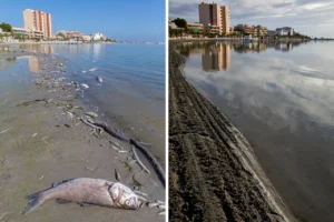 Mar Menor