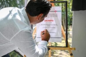 imagen 2ansd