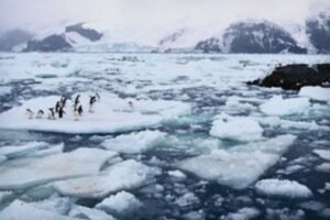 images 5