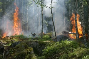 incendios