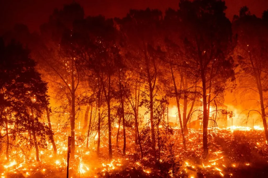 Mega incendios: la nueva era del fuego que amenaza nuestros bosques 10 incendios forestales 2
