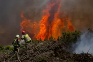 incendios forestales