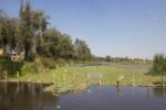 xochimilco