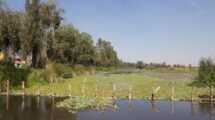 xochimilco