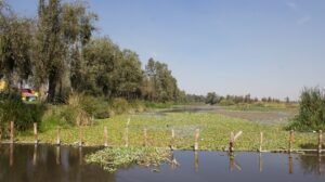 xochimilco