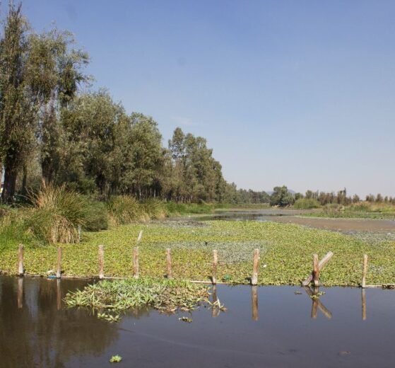 xochimilco