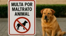 maltrato animal