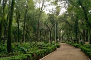 PARQUE