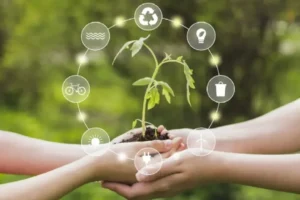 medio ambiente