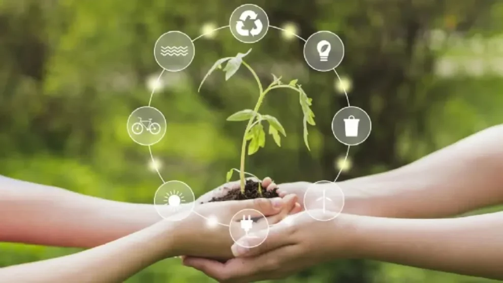 medio ambiente