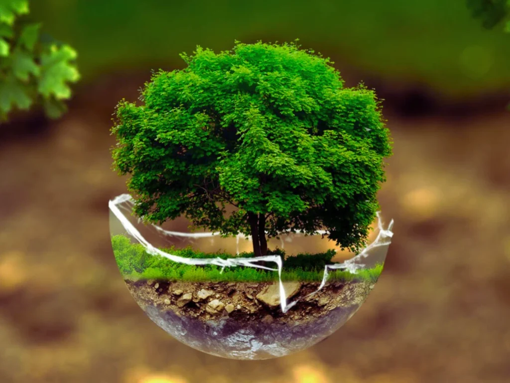 MEDIO AMBIENTAL