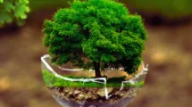 MEDIO AMBIENTAL