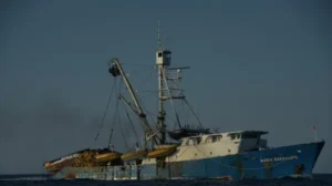 megacruceros en santuarios de ballenas