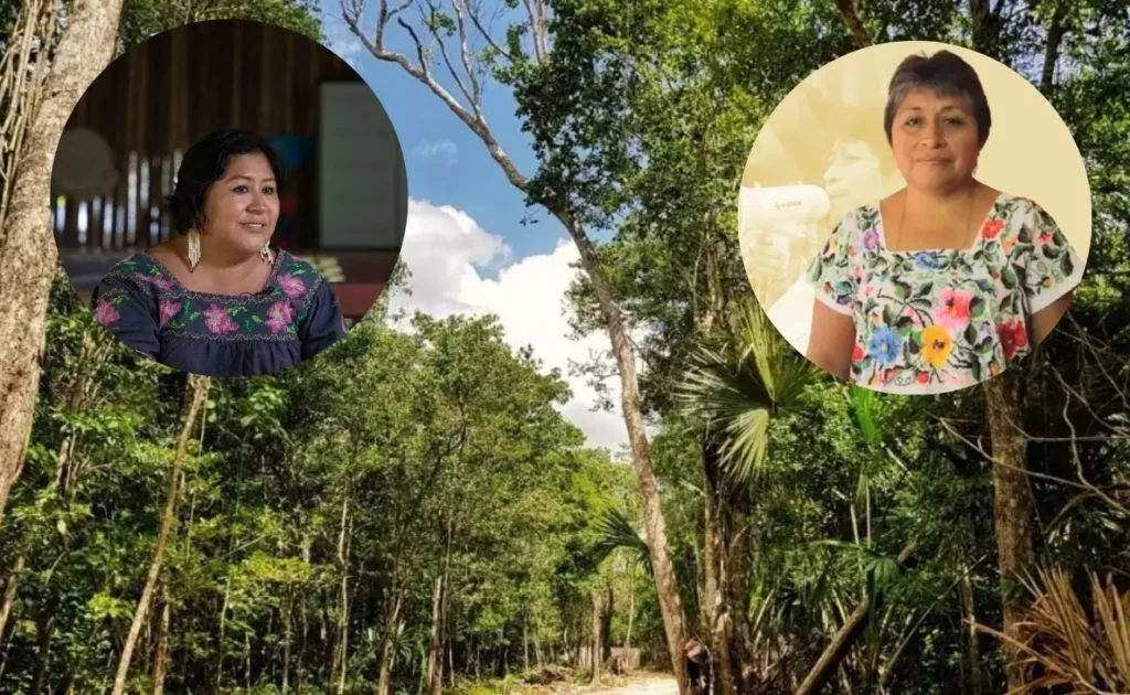 Guardianas de la tierra: mujeres indígenas que lideran el cambio 10 mujeres yucatán