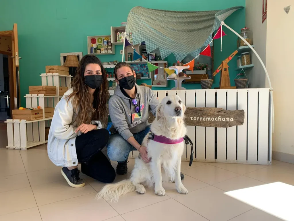 nuevas generaciones 2