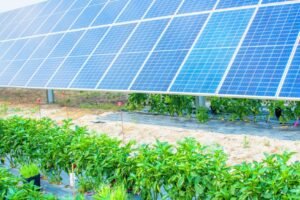 paneles solares