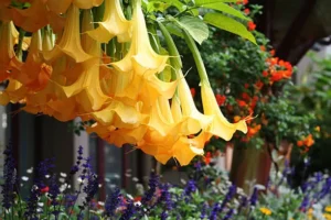 plantas y árboles