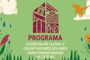 programa