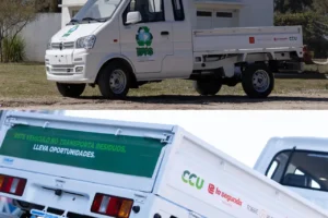 recicladores